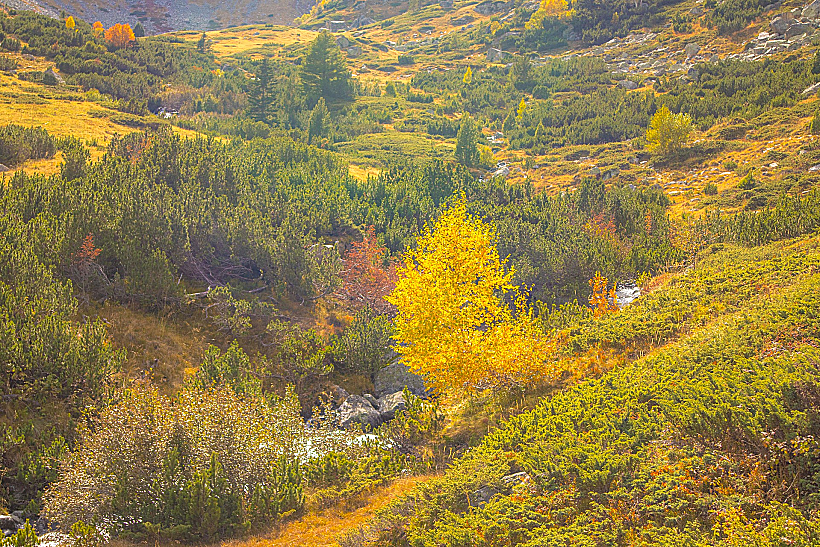 הרי רילה, בולגריה