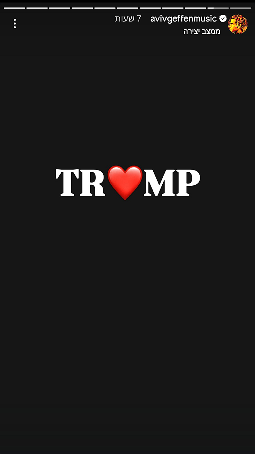 מתוך הסטורי של אביב גפן