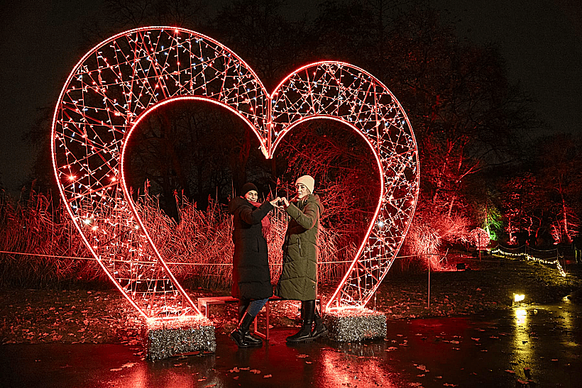 Winter Dreams ll בגן הבוטני בירושלים