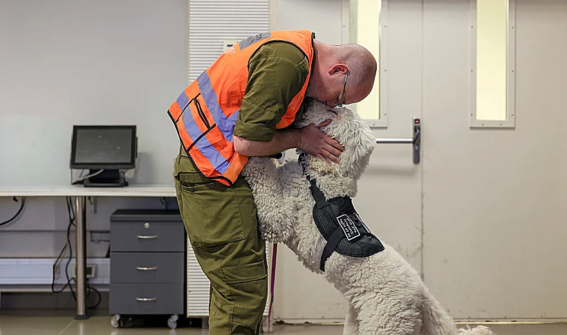 ג'ני ירושלמי