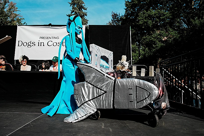 Tompkins Square Halloween Dog Parade In New York