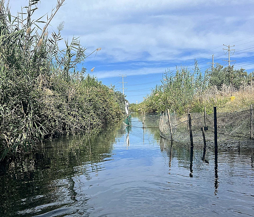 עין סעדיה חיפה