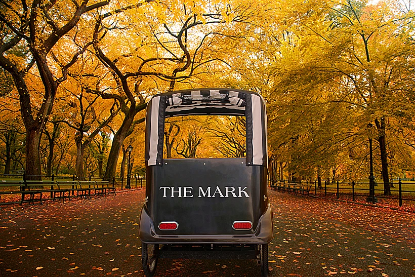 סנטרל פארק בשלכת