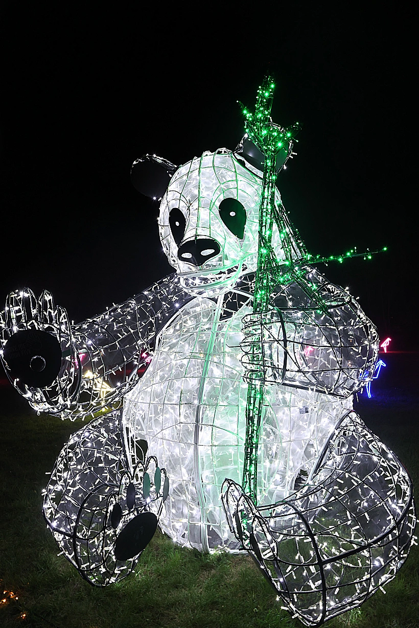 דוב פנדה מתוך הפסטיבל "LUMAGICA"