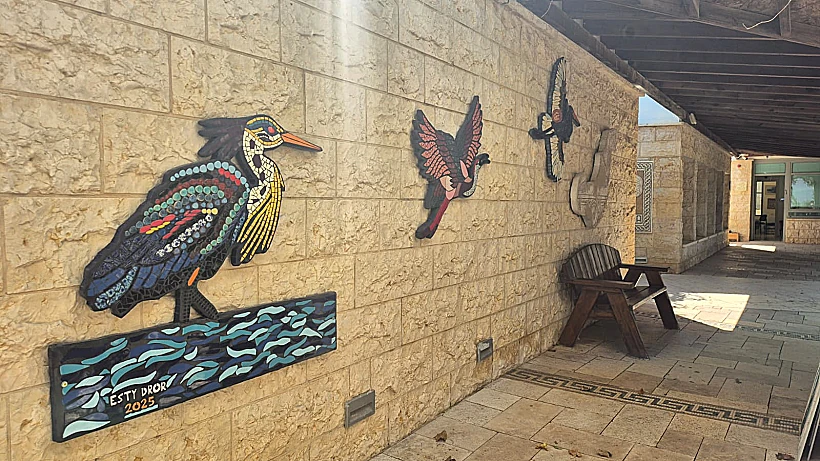 תערוכת מוזאיקה (פסיפסים) בגן לאומי ציפורי