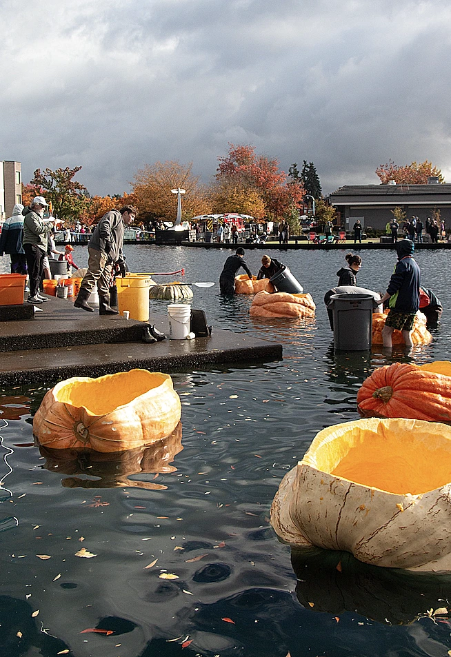 מרוץ הדלעת השנתי של אורגון