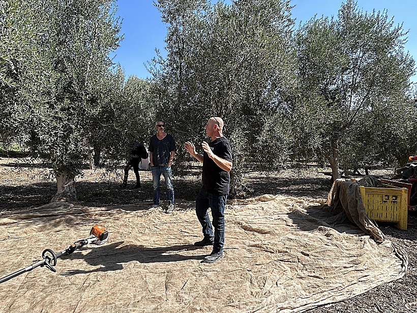 "בוסתן איתן", בית לחם הגלילית