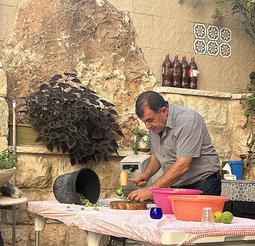 סדנת כבישת זיתים בדיר חנא