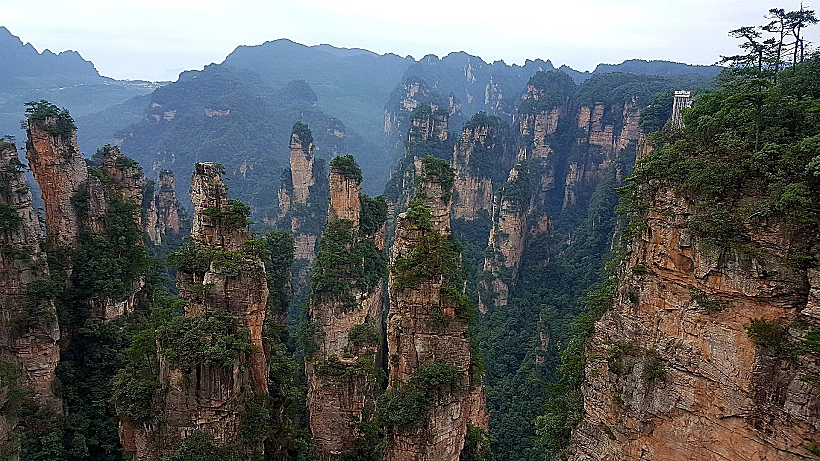 Zhangjiajie פארק היער הלאומי ג’אנגג’יאג’יה