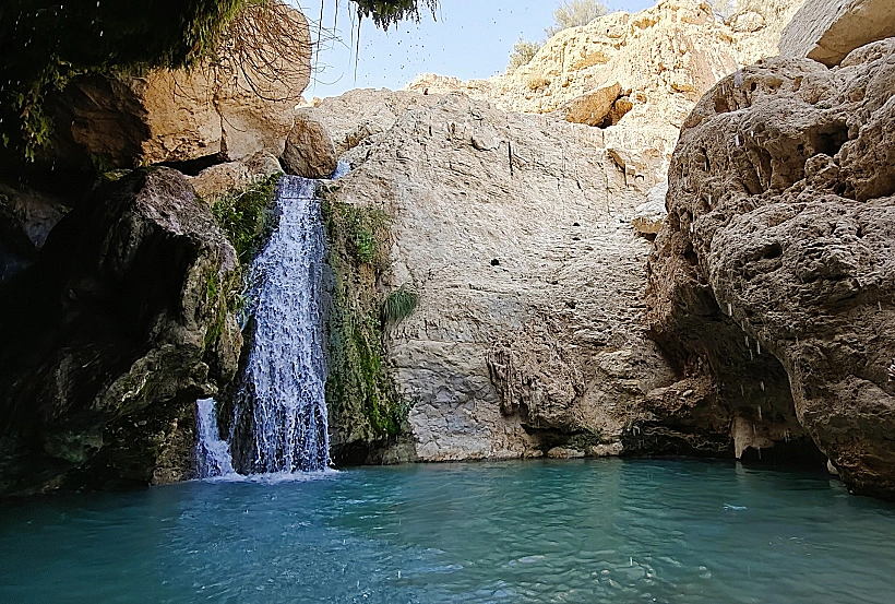 מערת דודים, עין גדי