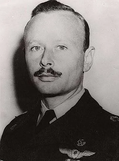 מפקד חיל האוויר לשעבר דן טולקובסקי