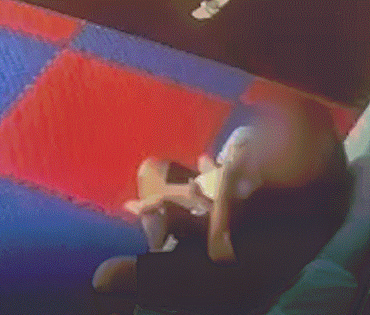 מתוך התיעוד