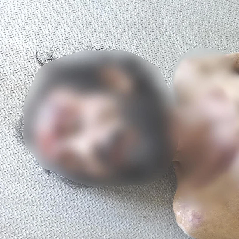 מוטלק מוטלק, אחד העצורים שנהרגו במתקני הכליאה בסוריה