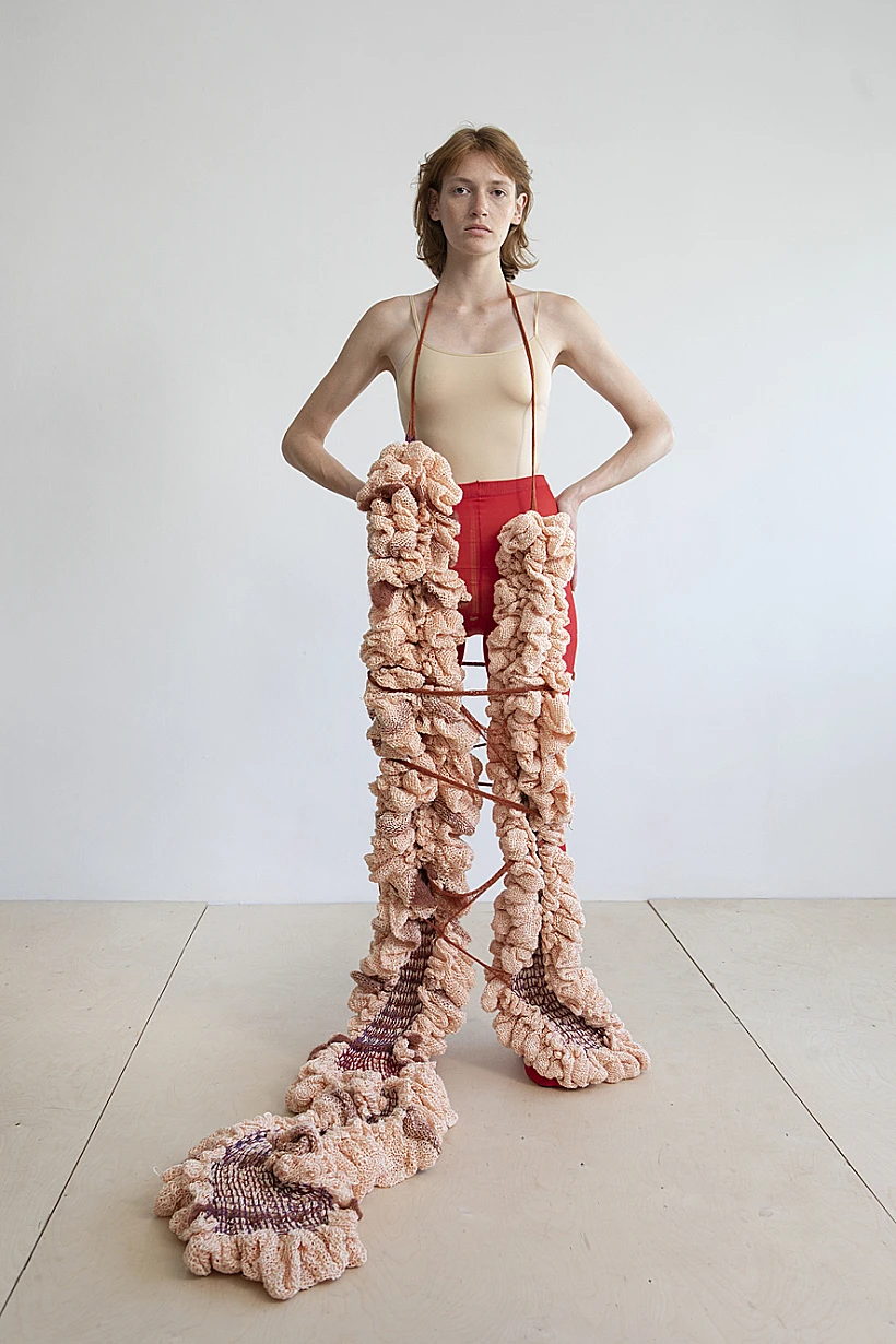 "איברים פנימיים"