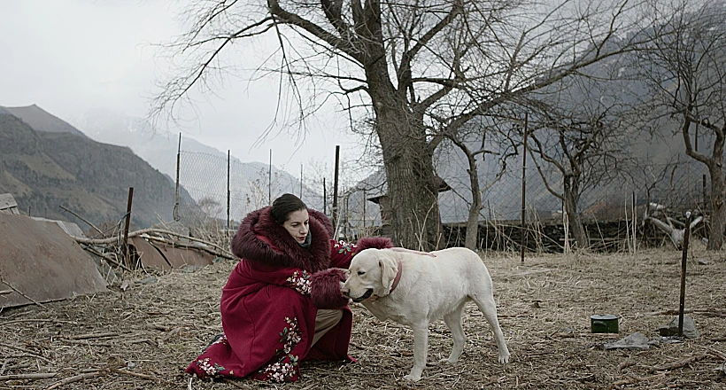 מתוך "נאנדאורי"