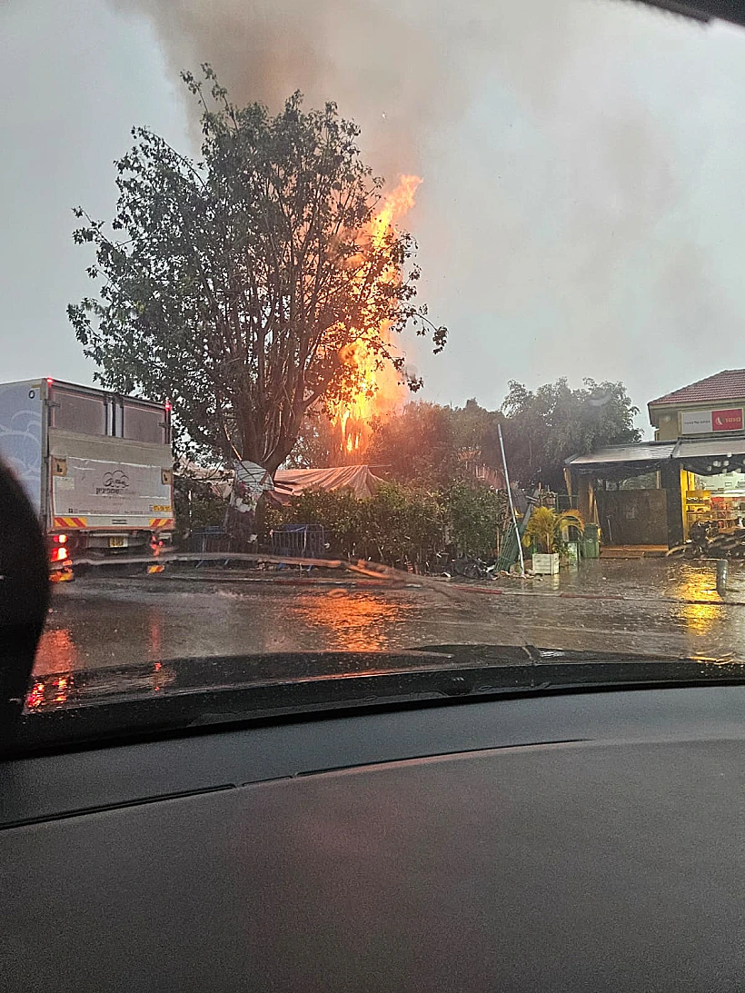 פגיעת ברק בעץ בתל אביב