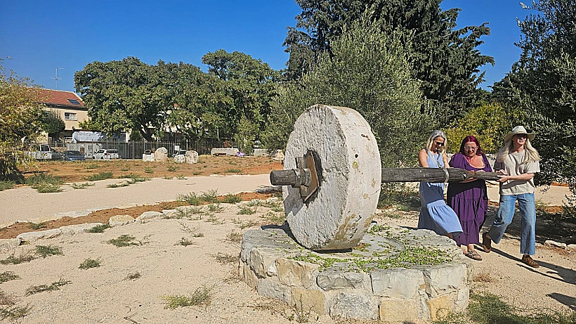 בית הבד במוזיאון כפר סבא – "הגן הארכיאולוגי"