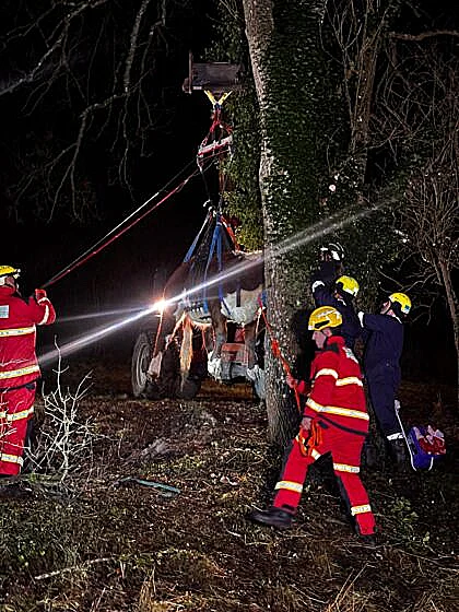 חילוץ הפרה שנתקעה
