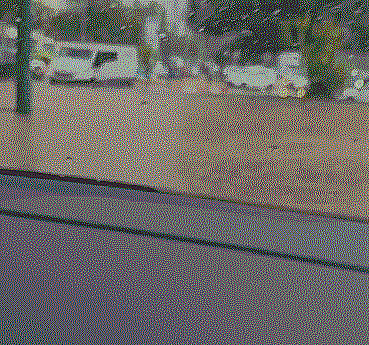 גשמים חזקים בנתניה