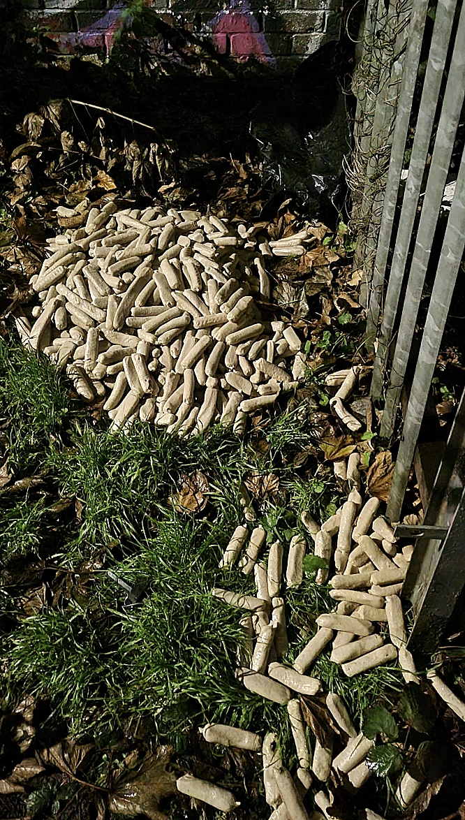 הנקניקיות המסתוריות של בריסטול