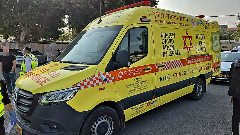 הזירה בבית שאן