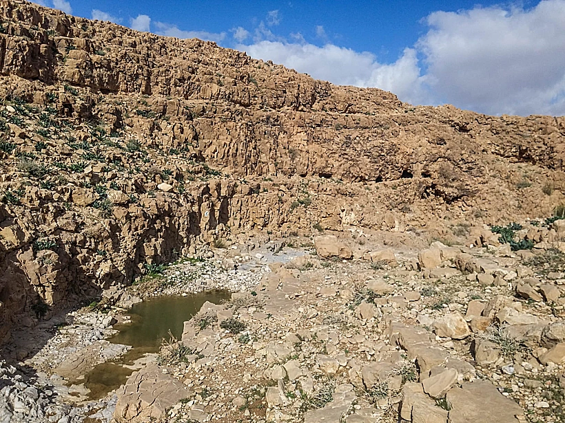 גב מים מלא בנחל רחף