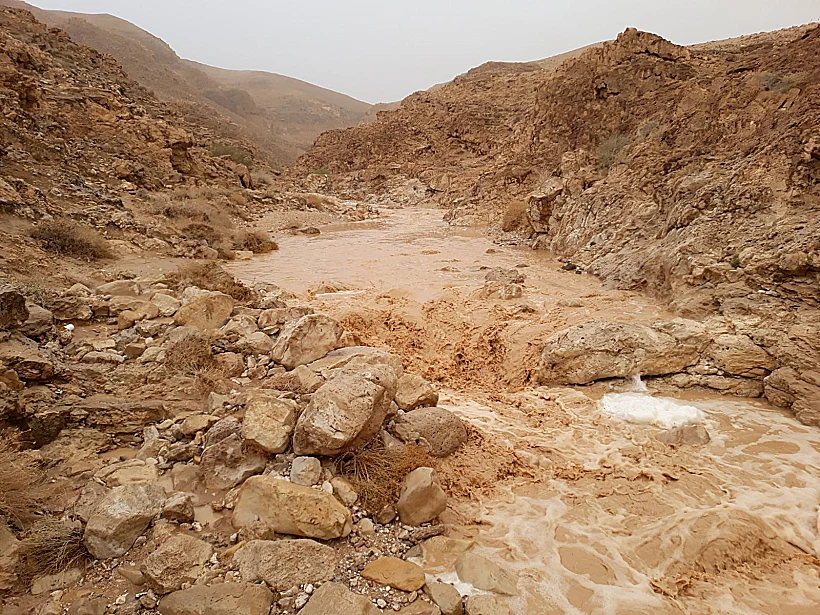 נחל צאלים עליון מלא במים