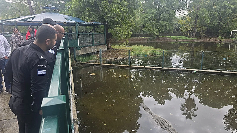 אנשי מקצוע של שב״ס בסיור בחמת גדר כדי לבדוק ייבוא תנינים לבתי כלא ביטחוניים