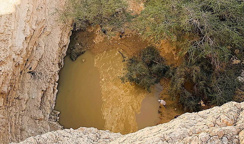 גב צופר תחתון