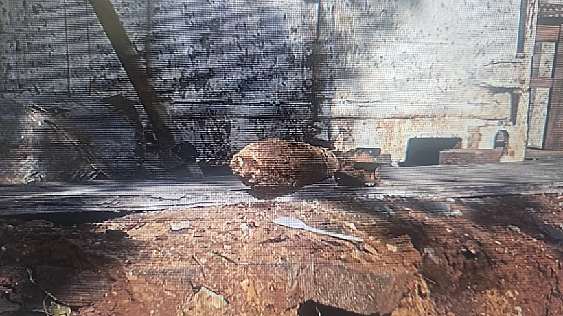 פצצת המרגמה הישנה שאותרה ברחובות