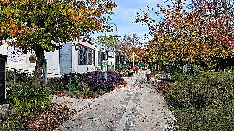 שביל הלולים כפר גלעדי