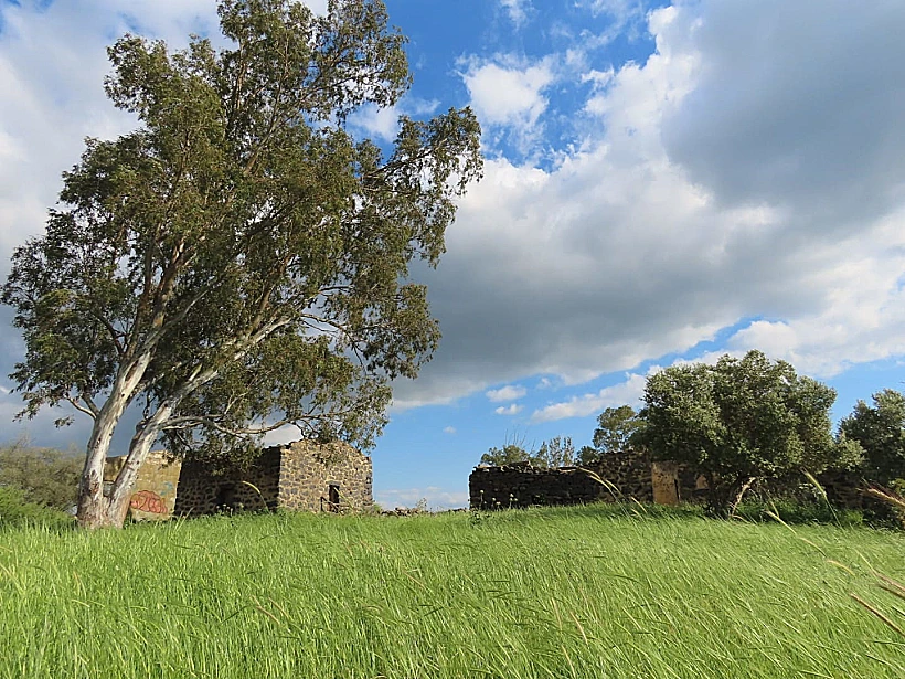 שמורת טבע יהודיה
