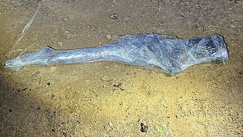 נשק M16 שהושלך מחלון הרכב של החשוד בנגב