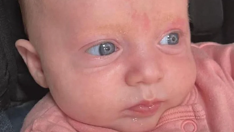 ליה ציפורה גולובנציץ