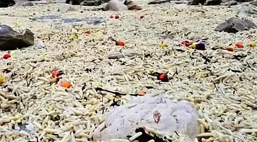 צ'יפס קפוא שנשטף לחופי בריטניה