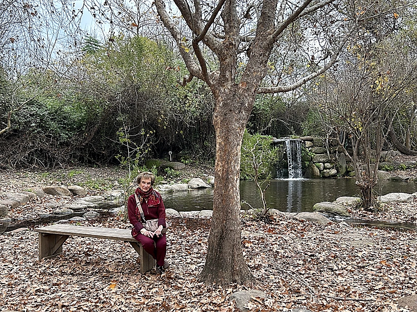 שלכת בנחל שניר