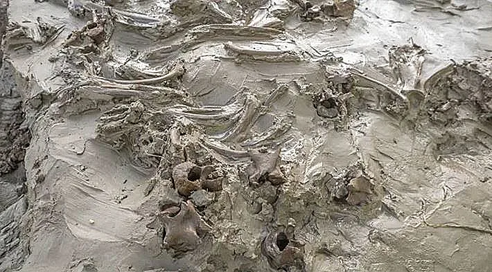 ארכיאולוגיה