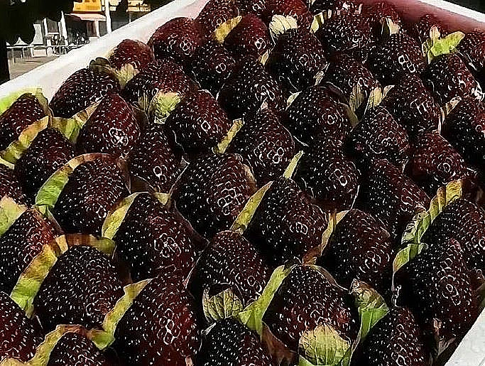 תותים שחורים