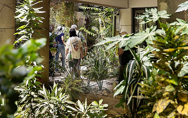 סף הבית: סיור על טבע בחצרות בניינים