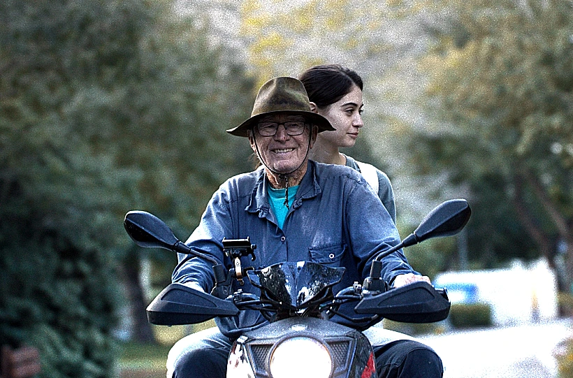 מתוך "על כלבים ואנשים"