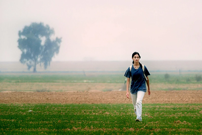 מתוך "על כלבים ואנשים"