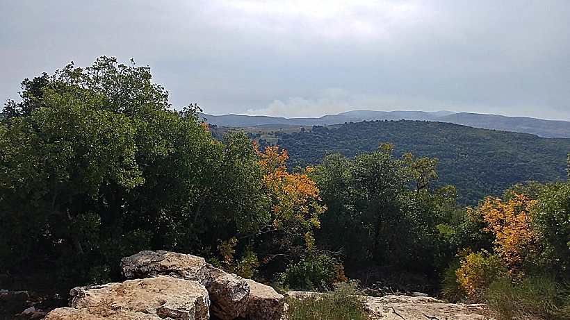 סובב הר מירון