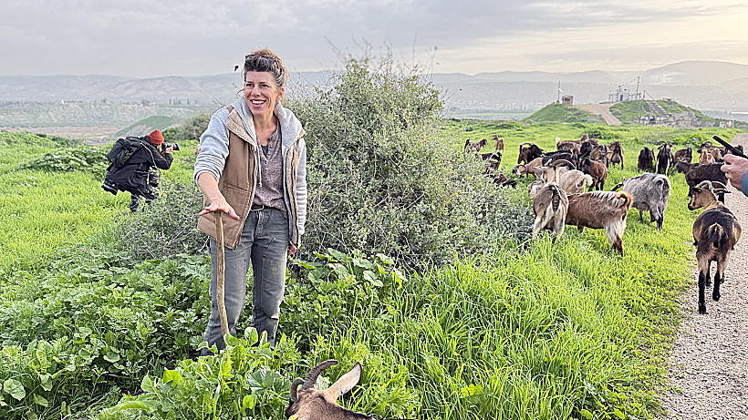 חוות נוקדי רופין אילה שבח עם העיזים במרעה