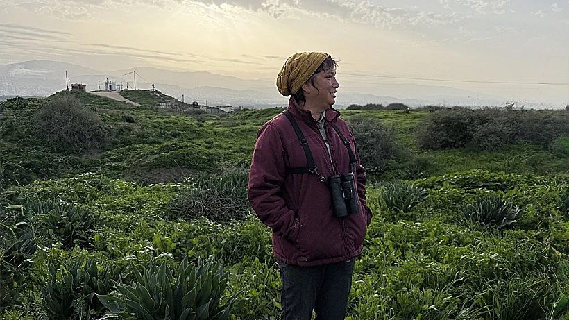 הצפרית חן רבאון שרי