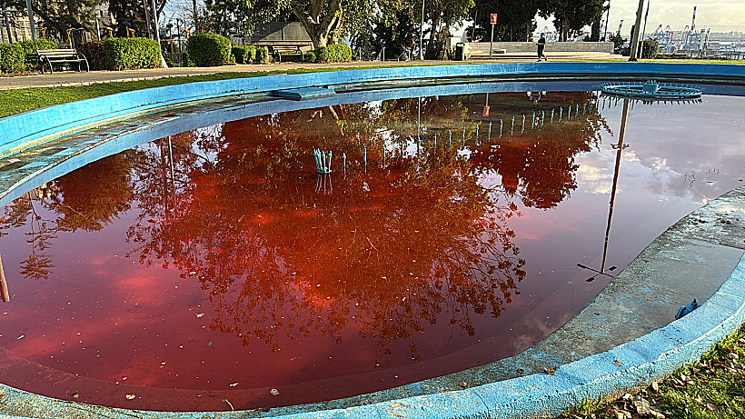 מפגינים נגד האלימות בחברה הערבית צבעו באדום את המזרקה בגן הזיכרון בחיפה