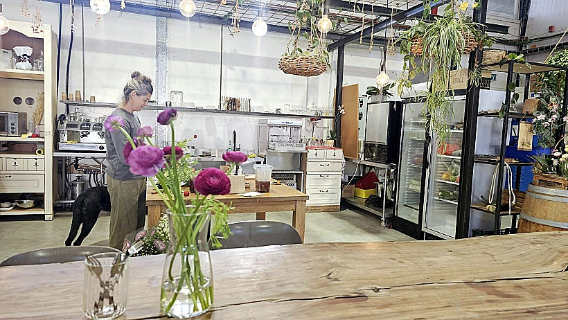 יקב מיקה, בני יהודה