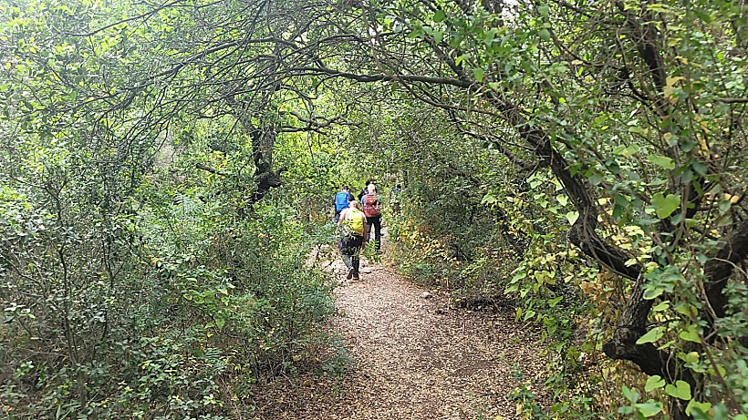 שמורת המסרק