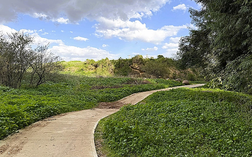 שביל בין הגשרים