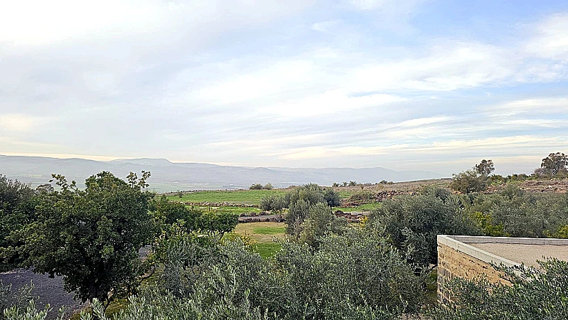 הנוף מחדר במלון פרא