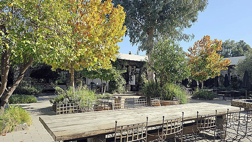 חצר מלון פרא